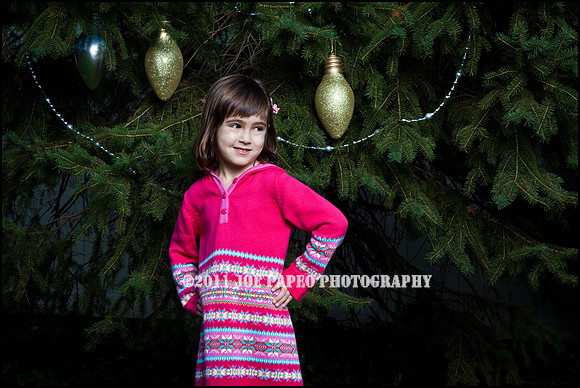 brown_2012_christmas-2