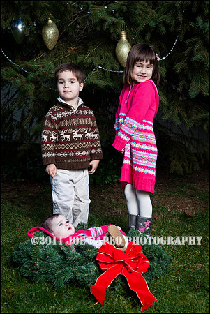 brown_2012_christmas-8