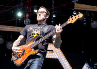 weezer-at-firefly-festival-3