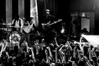 Plain White Ts-14