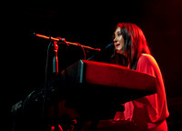 vanessa carlton at terminal 5-3