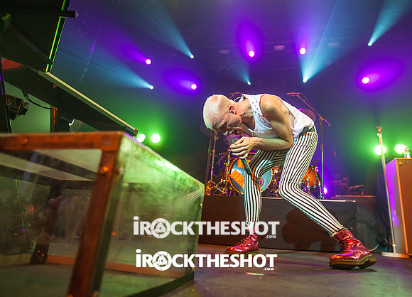 neon trees at terminal 5-16