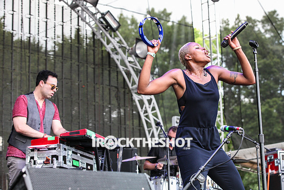 fitz and the tantrums at firefly festival-3