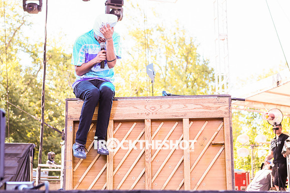 twentyone-pilots-at-firefly-festival-15