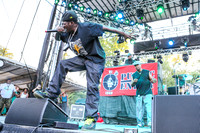 public-enemy-at-firefly-festival-20