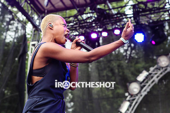 fitz and the tantrums at firefly festival-12