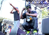 public-enemy-at-firefly-festival-13