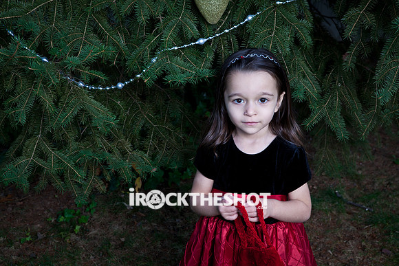 Papeo Christmas 2011-9