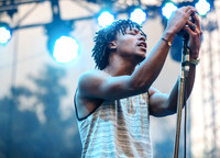 lupe fiasco at firefly