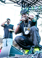 public-enemy-at-firefly-festival-14