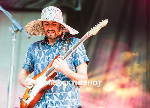young-the-giant-at-firefly-festival-2014-8