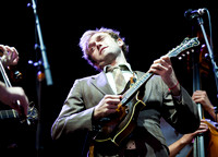punch brothers at central park summer stage-7