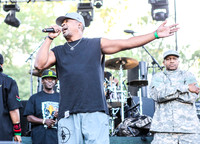 public-enemy-at-firefly-festival-7