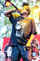public-enemy-at-firefly-festival-16