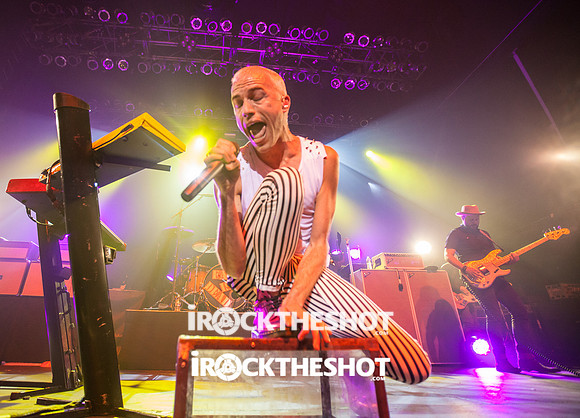 neon trees at terminal 5-17