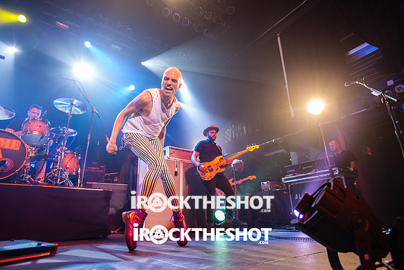 neon trees at terminal 5-19