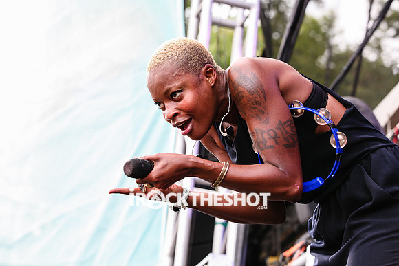 fitz and the tantrums at firefly festival-6