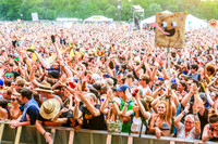 firefly-festival-2016-papeo-72