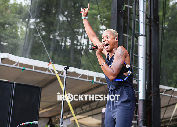 fitz and the tantrums at firefly festival-26
