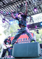 public-enemy-at-firefly-festival-6