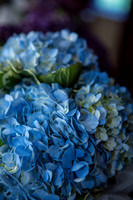 iorizzo-mumma-wedding-11