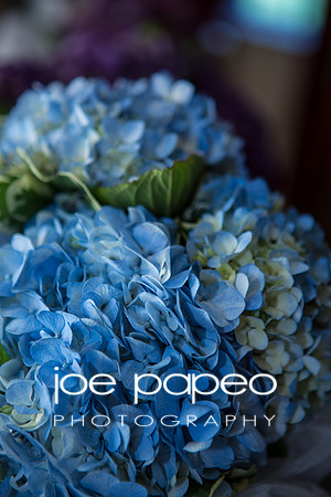 iorizzo-mumma-wedding-11