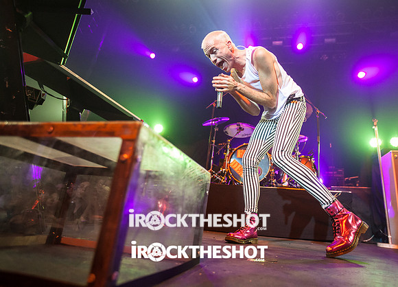 neon trees at terminal 5-11