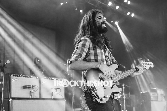 young-the-giant-at-firefly-festival-2014-23