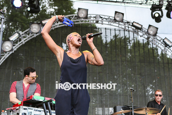 fitz and the tantrums at firefly festival-21