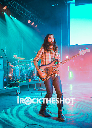young-the-giant-at-firefly-festival-2014-33