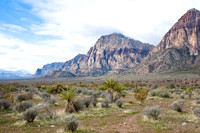 Red Rock Canyon, NV