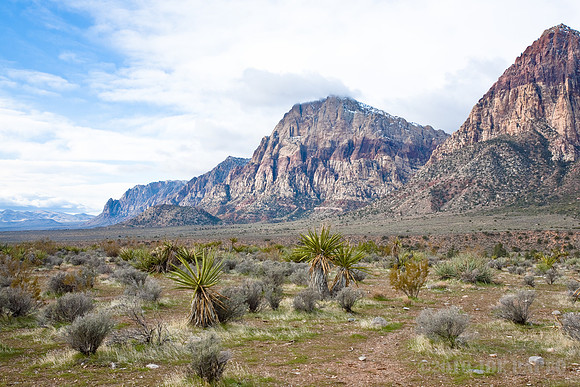 Red Rock Canyon, NV