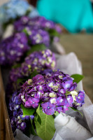 iorizzo-mumma-wedding-10