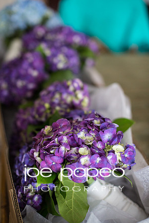iorizzo-mumma-wedding-10
