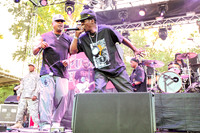 public-enemy-at-firefly-festival-15