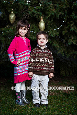 brown_2012_christmas-4