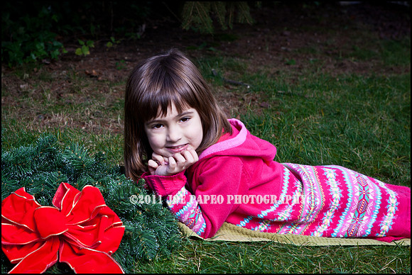 brown_2012_christmas-9