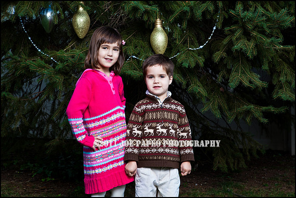 brown_2012_christmas-5