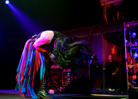 evanescence at terminal 5-9