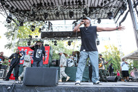 public-enemy-at-firefly-festival-11