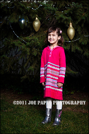 brown_2012_christmas-1