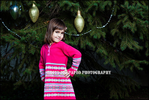 brown_2012_christmas-3