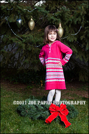 brown_2012_christmas-6