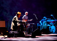 ray lamontagne in central park-3