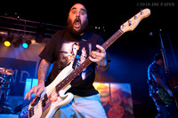 New Found Glory